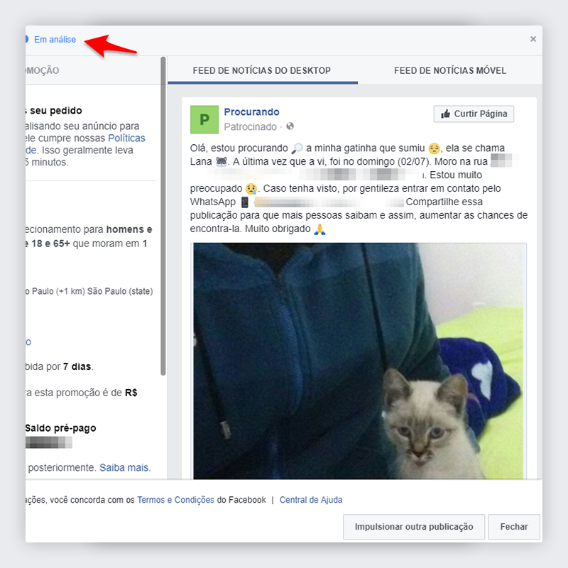 Passo 11 - Impulsionar publicação no Facebook